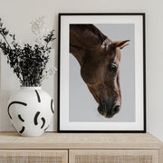 Russian Framed Art Shot by Clint | Home or Office Art