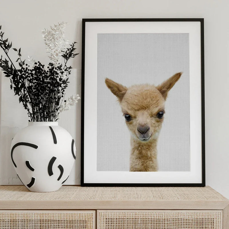 Peekaboo Baby Llama Framed Art Lola Peacock | Home or Office Art