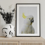 Peekaboo Cockatoo Framed Art Lola Peacock | Home or Office Art