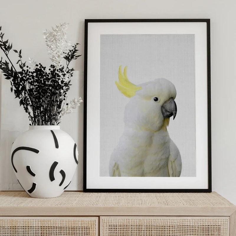 Peekaboo Cockatoo Framed Art Lola Peacock | Home or Office Art