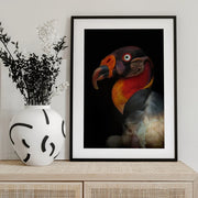 King vultureFramed ArtSarcoramphus papa Framed Art Ferdinando Valverde | Home or Office Art