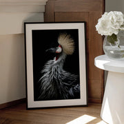 Crowned crane's portrait Framed Art Eiji Itoyama | Home or Office Art