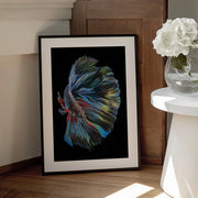 The  Betta Fish Framed Art Andi Halil | Home or Office Art