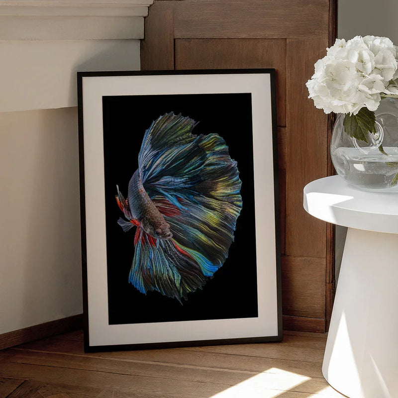 The  Betta Fish Framed Art Andi Halil | Home or Office Art