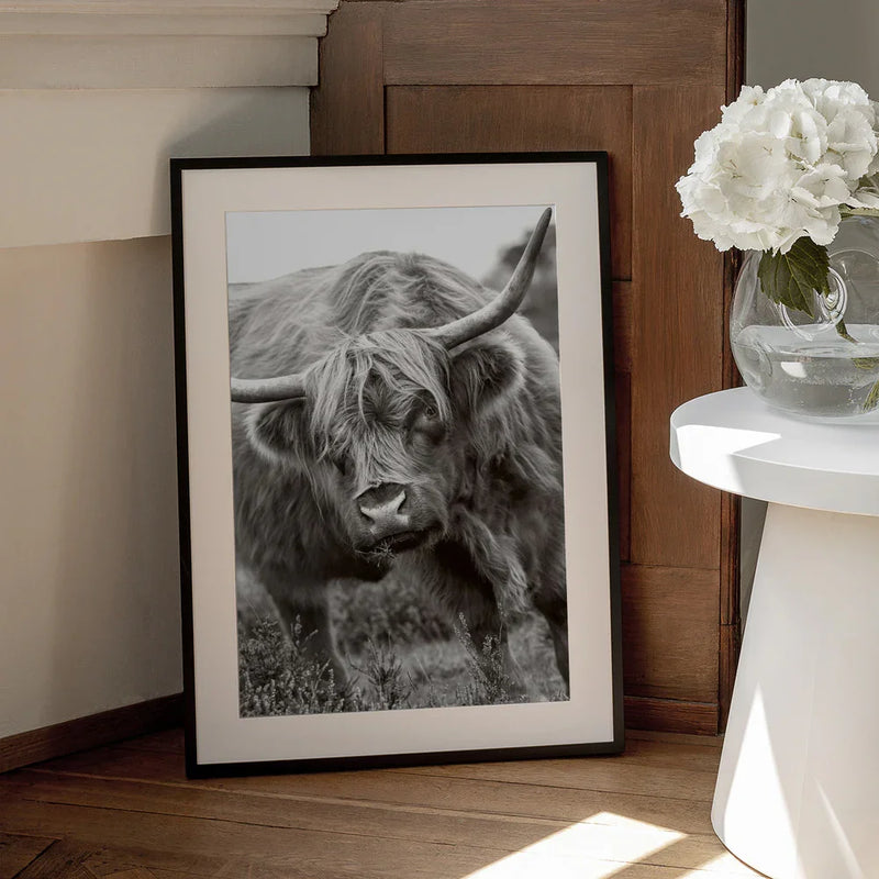 The Bull Framed Art Jacky Parker | Home or Office Art