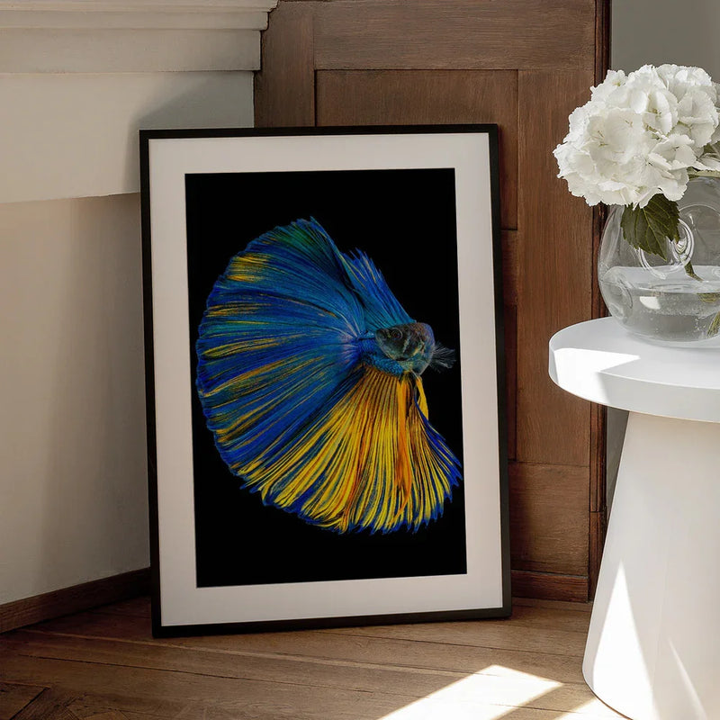 Yellow &amp; Blue Framed Art Andi Halil | Home or Office Art