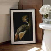 Grey Crowned Crane Framed Art Jealousy | Home or Office Art