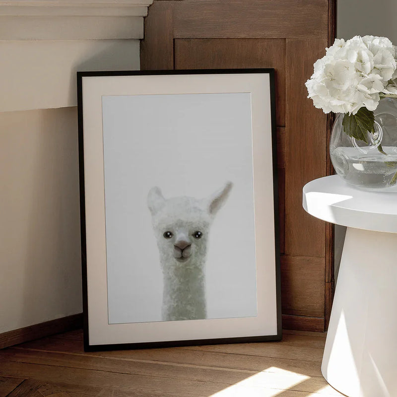 Llama Framed Art Pictufy Studio II | Home or Office Art