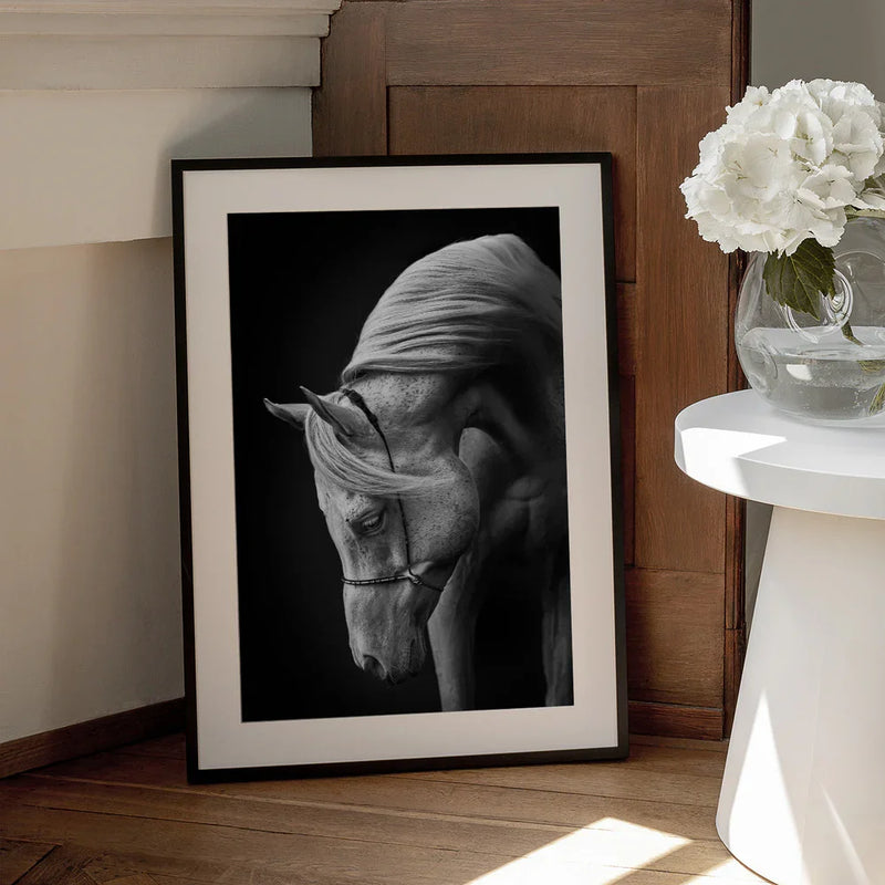 white stallion Framed Art Ulrike Leinemann | Home or Office Art