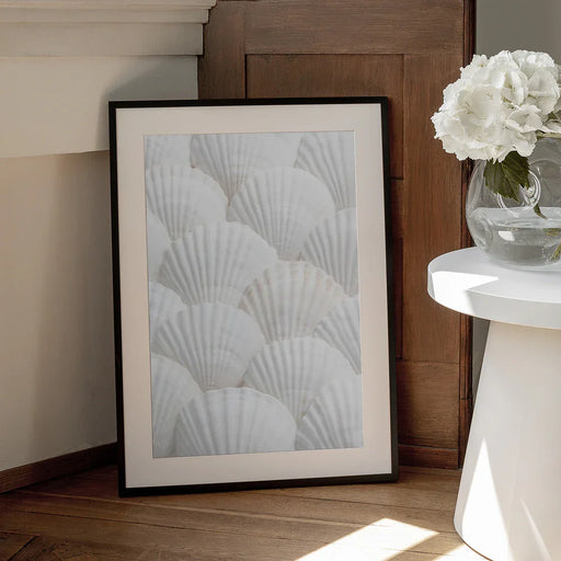 Shells_3 - Pictufy Studio III Framed Art | Home or Office Art