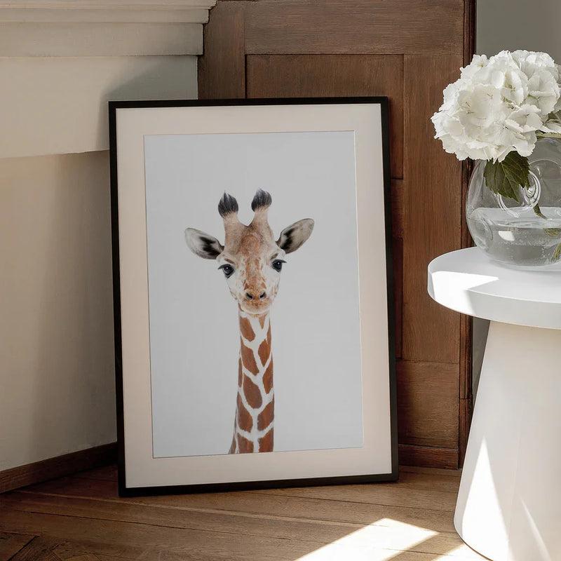 Baby Giraffe Framed Art Kathrin Pienaar | Home or Office Art