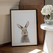 Baby Rabbit Framed Art Kathrin Pienaar | Home or Office Art