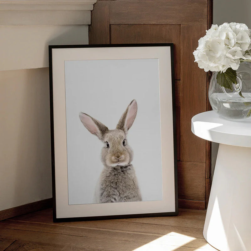 Baby Rabbit Framed Art Kathrin Pienaar | Home or Office Art