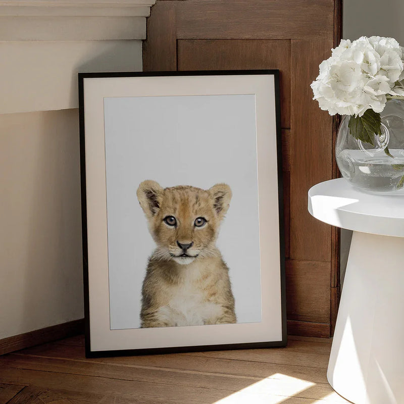 Baby Lion Framed Art Kathrin Pienaar | Home or Office Art