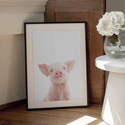Baby Pig Framed Art Kathrin Pienaar | Home or Office Art