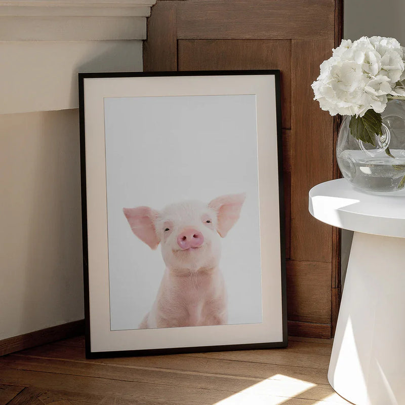 Baby Pig Framed Art Kathrin Pienaar | Home or Office Art