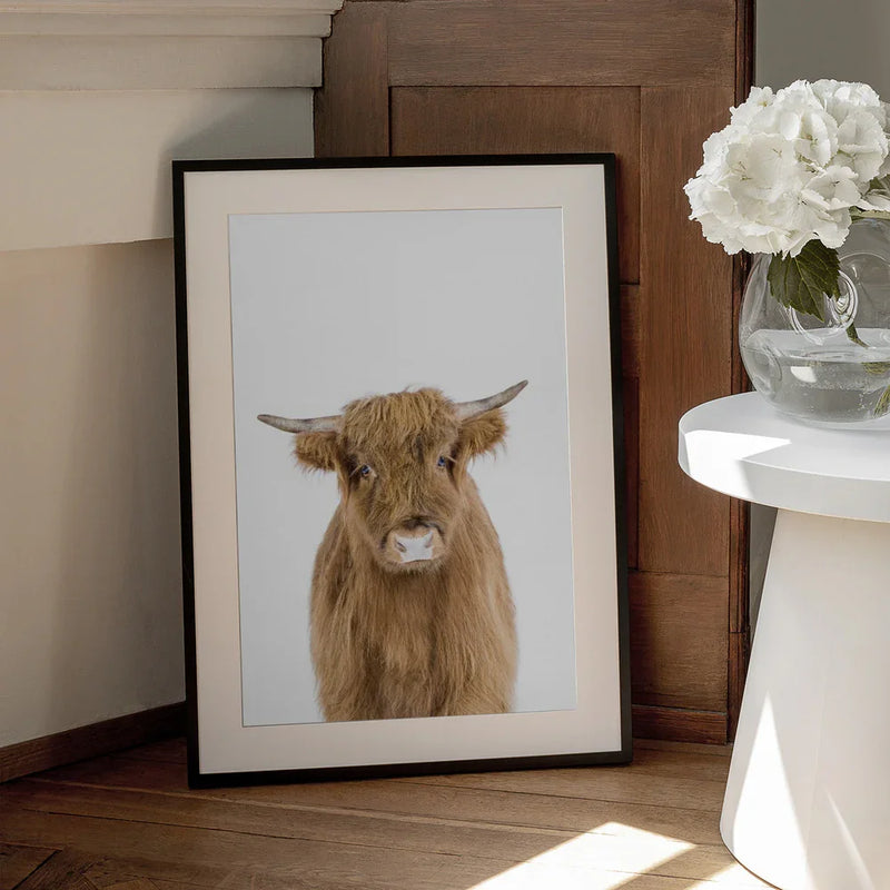 Baby Cow Framed Art Kathrin Pienaar | Home or Office Art