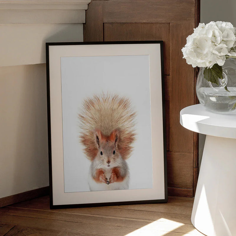 Baby Squirel Framed Art Kathrin Pienaar | Home or Office Art