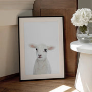 Baby Lamb Framed Art Kathrin Pienaar | Home or Office Art