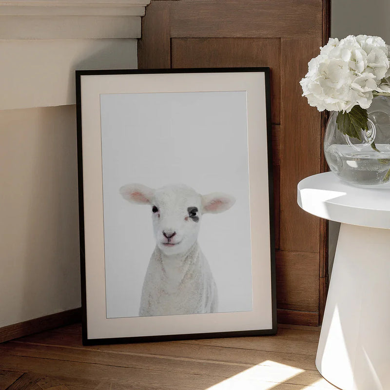 Baby Lamb Framed Art Kathrin Pienaar | Home or Office Art