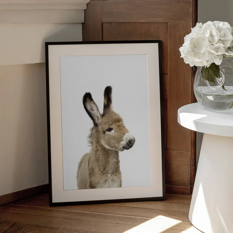 Baby Donkey Framed Art Kathrin Pienaar | Home or Office Art