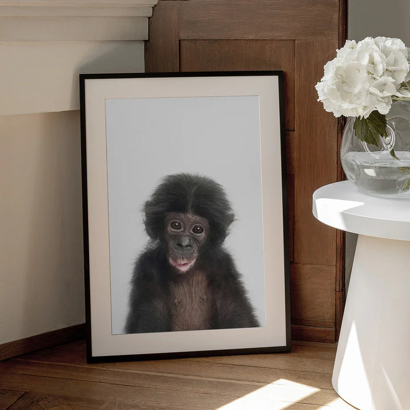 Baby Monkey Framed Art Kathrin Pienaar | Home or Office Art