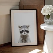 Baby Racoon Framed Art Kathrin Pienaar | Home or Office Art