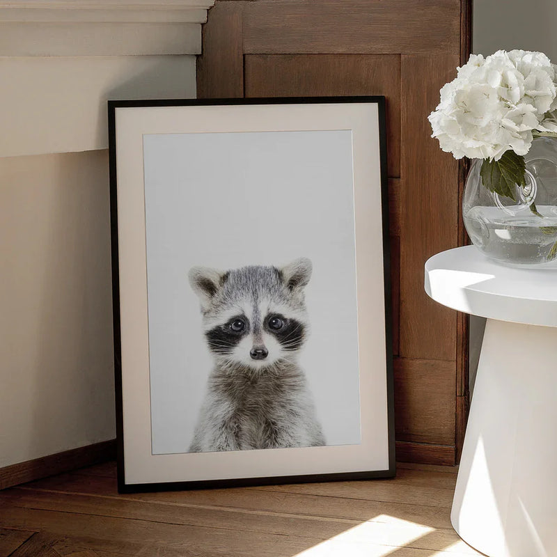 Baby Racoon Framed Art Kathrin Pienaar | Home or Office Art