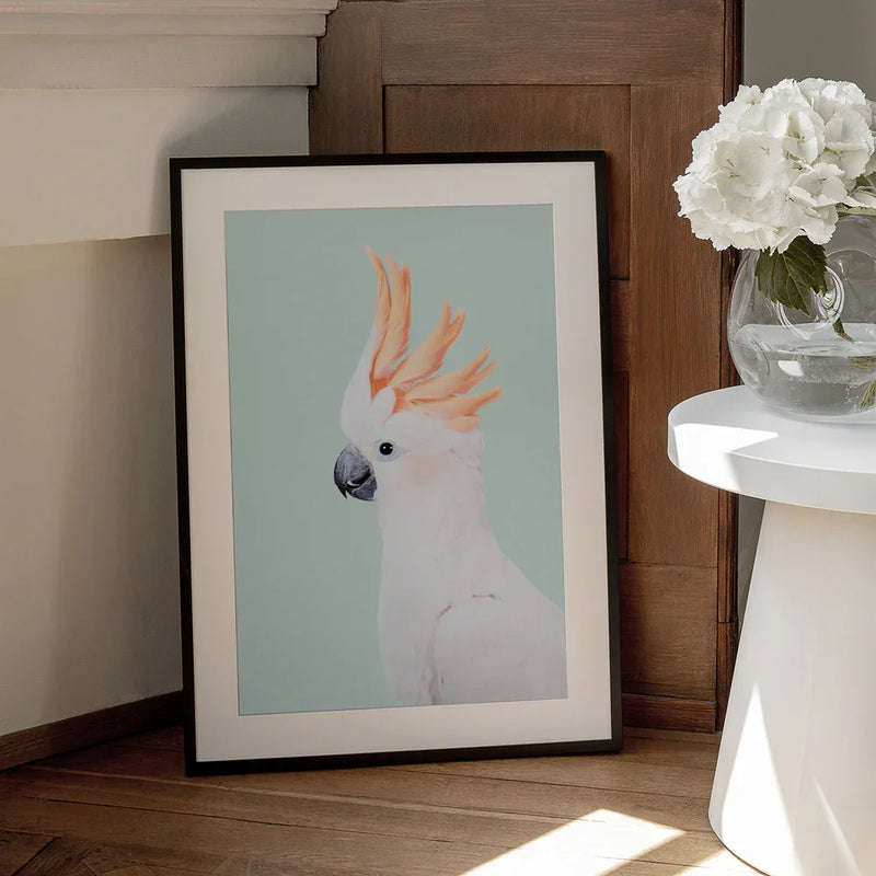Cockatoo Framed Art Kathrin Pienaar | Home or Office Art