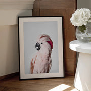 Pink Cockatoo Framed Art Kathrin Pienaar | Home or Office Art