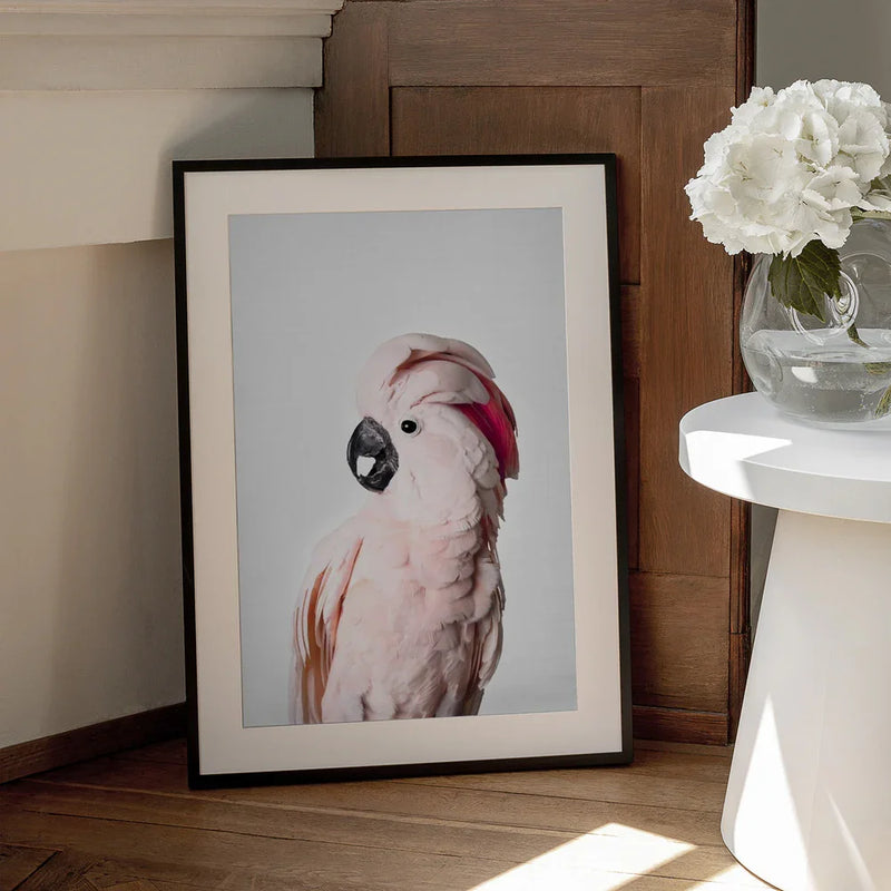 Pink Cockatoo Framed Art Kathrin Pienaar | Home or Office Art