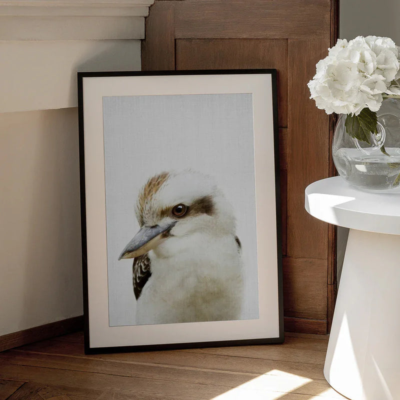 Peekaboo Kookaburra Framed Art Lola Peacock | Home or Office Art