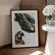 Amazonia Framed Art Shot by Clint | Home or Office Art