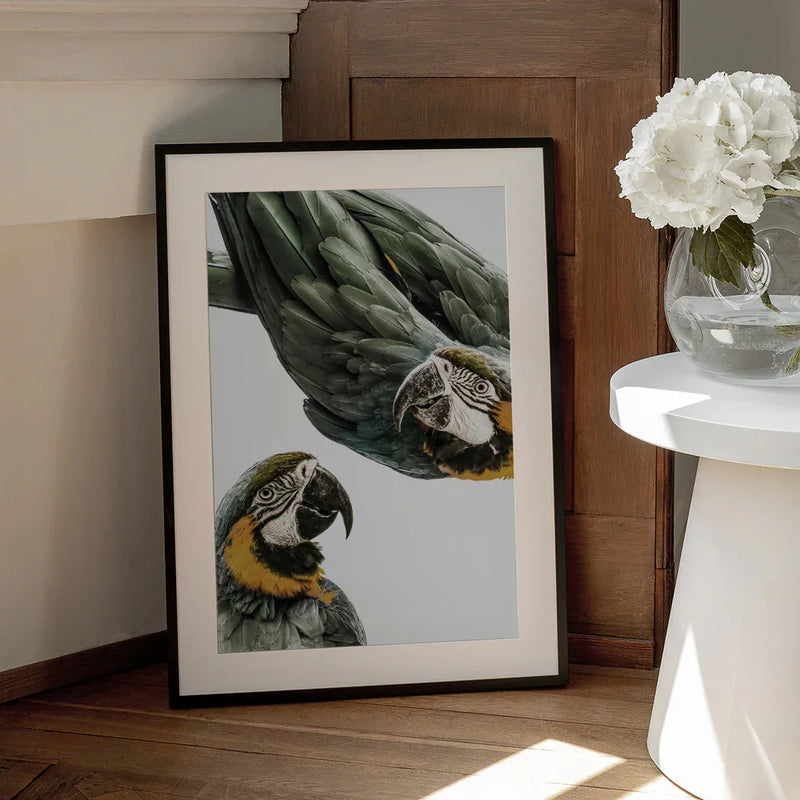 Amazonia Framed Art Shot by Clint | Home or Office Art