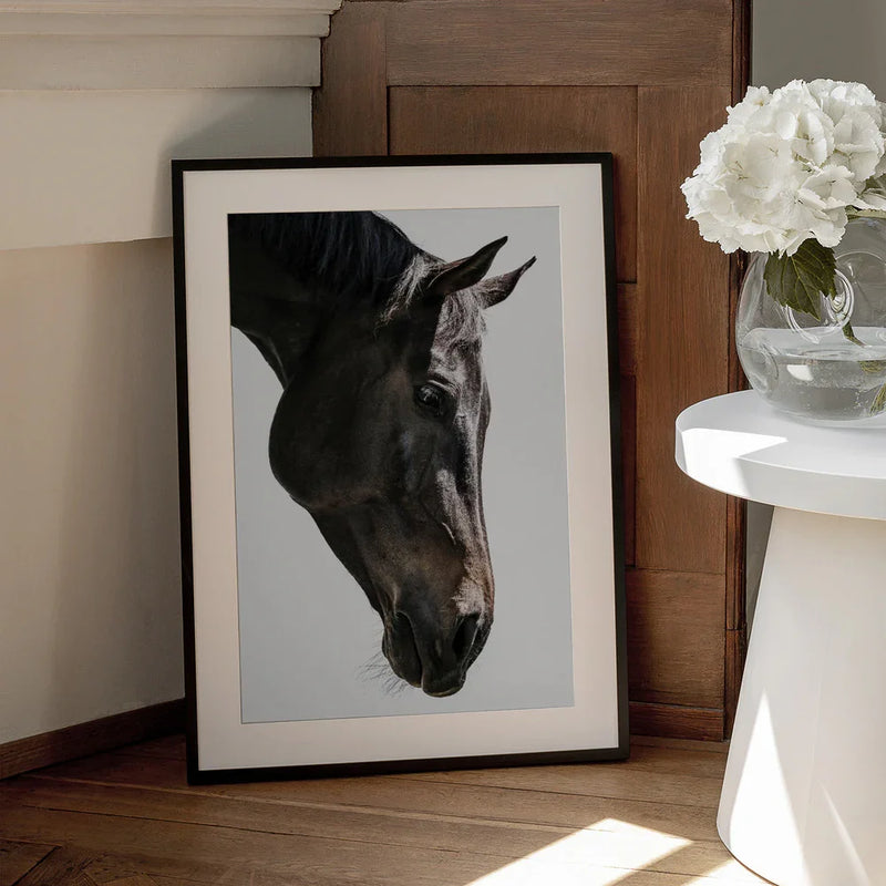 Bingo Framed Art Shot by Clint | Home or Office Art