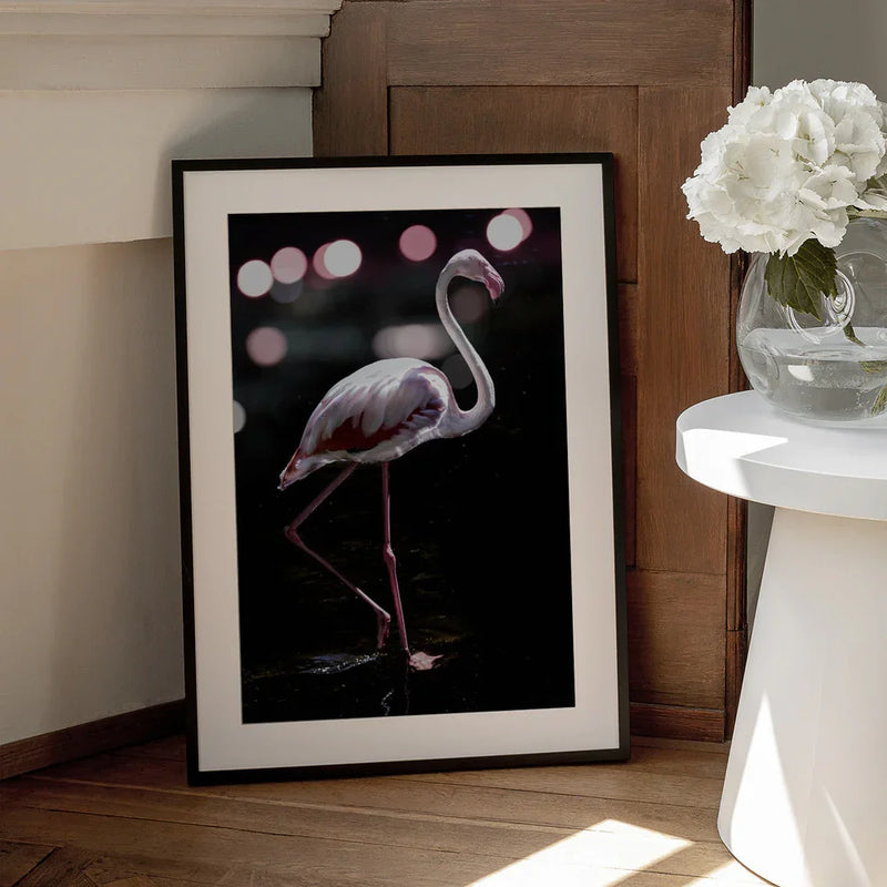 Dancing Flamingo Framed Art Shot by Clint | Home or Office Art