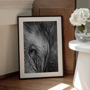 Elephant Study Framed Art Shot by Clint | Home or Office Art