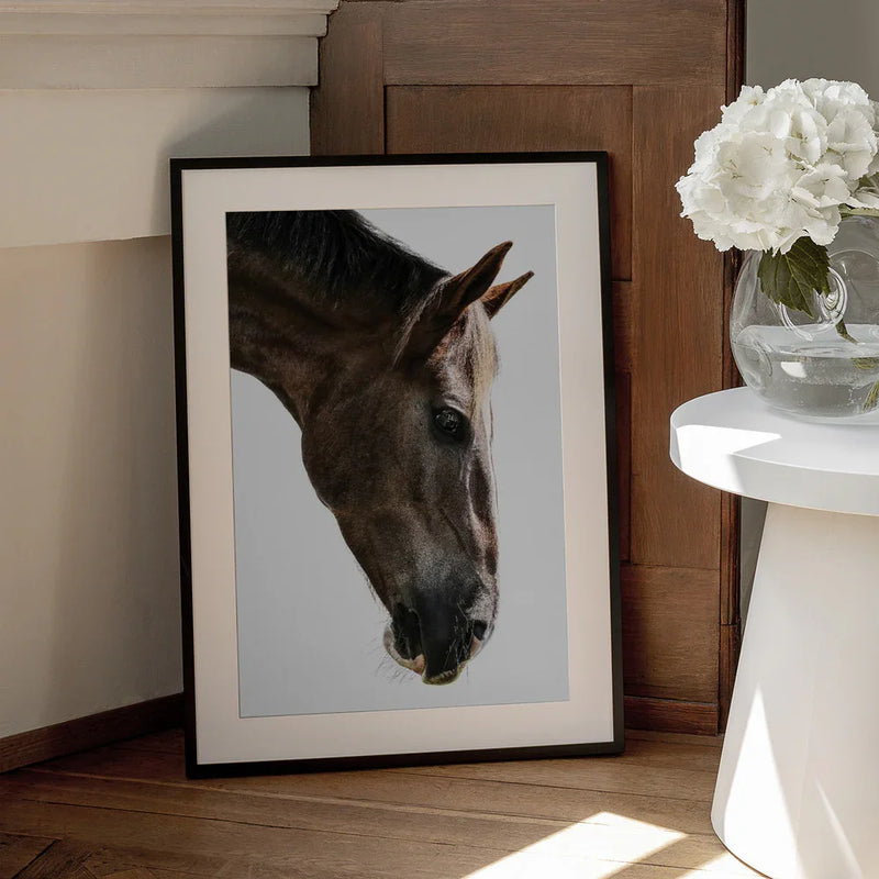 Kalimazoo Framed Art Shot by Clint | Home or Office Art