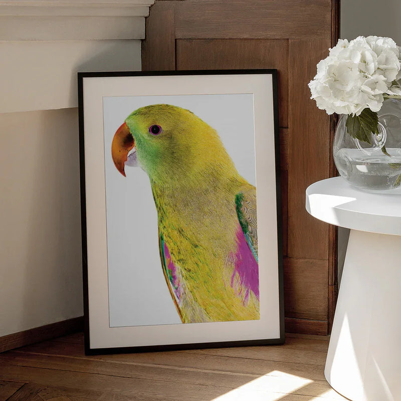 Polly Framed Art Shot by Clint | Home or Office Art