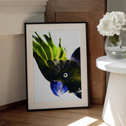 Punk Rocker Framed Art Shot by Clint | Home or Office Art