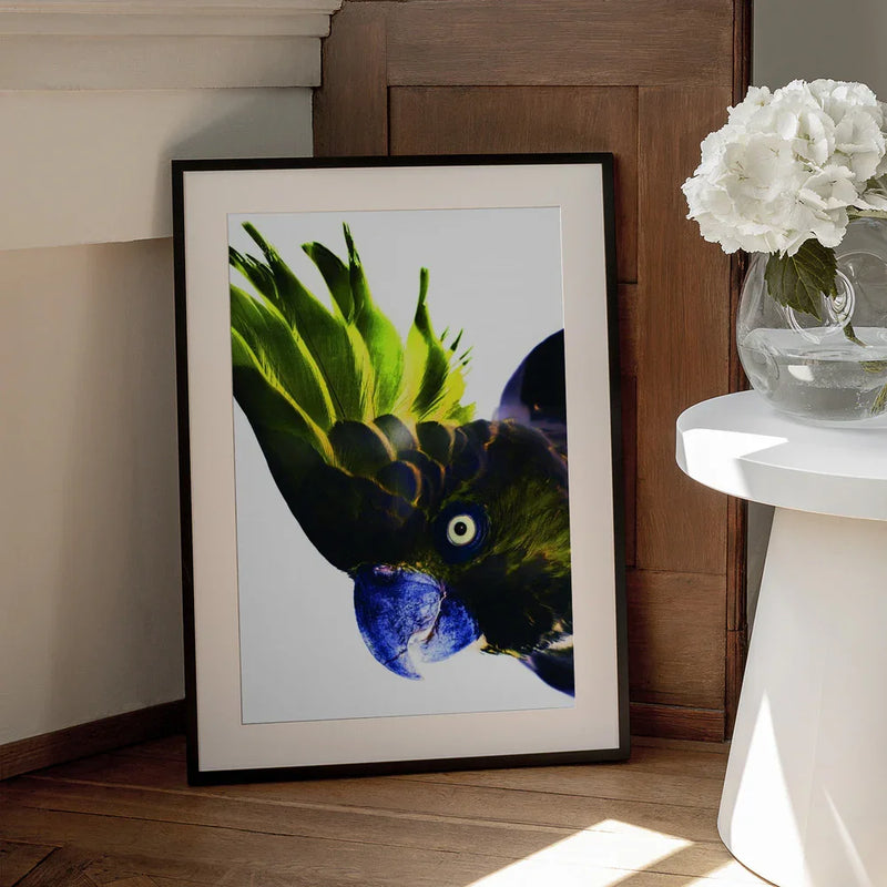 Punk Rocker Framed Art Shot by Clint | Home or Office Art