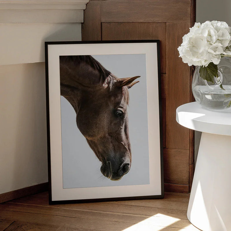 Russian Framed Art Shot by Clint | Home or Office Art