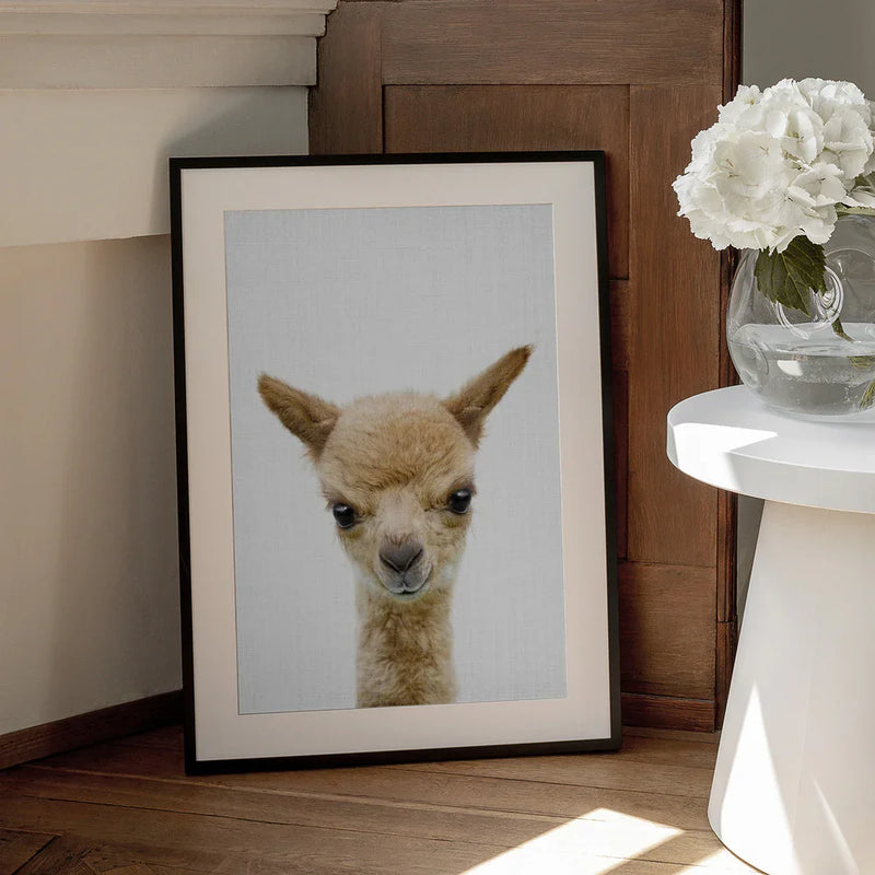 Peekaboo Baby Llama Framed Art Lola Peacock | Home or Office Art