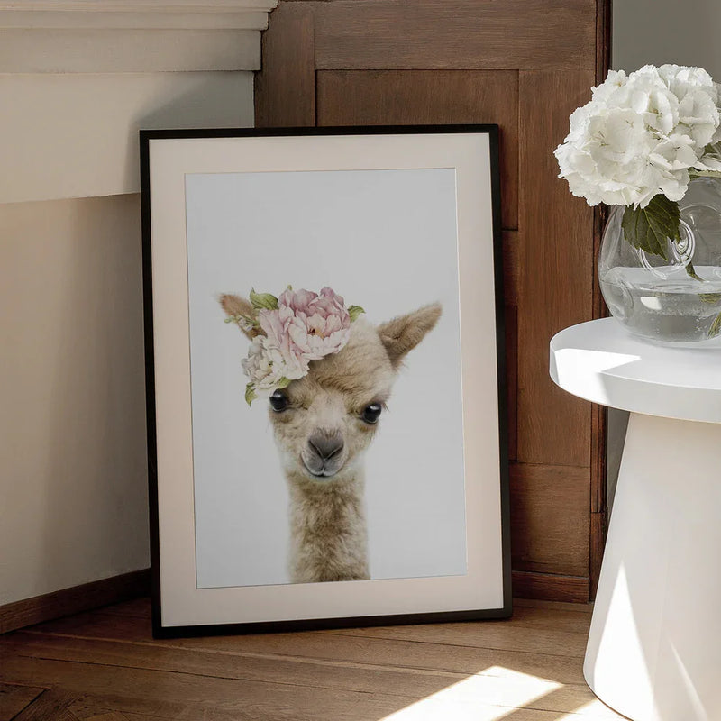 Floral Baby Llama Framed Art Lola Peacock | Home or Office Art