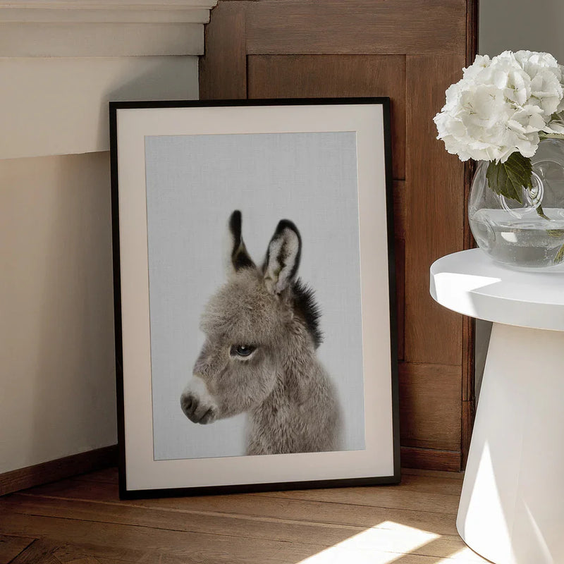 Peekaboo Baby Donkey Framed Art Lola Peacock | Home or Office Art