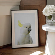Peekaboo Cockatoo Framed Art Lola Peacock | Home or Office Art