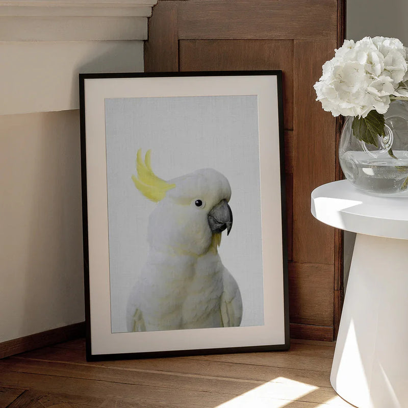 Peekaboo Cockatoo Framed Art Lola Peacock | Home or Office Art