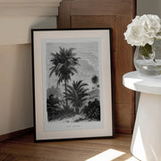 Vintage Palm Tree Drawing V - Les Palmiers Histoire Iconographique Framed Art | Home or Office Art