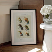 Salmon Fliee 1892 - Mary Orvis Marbury Framed Art | Home or Office Art