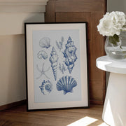 Shell Collage - Jolly and Dash Framed Art | Home or Office Art